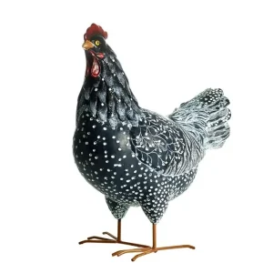 Grann Höna – Svart