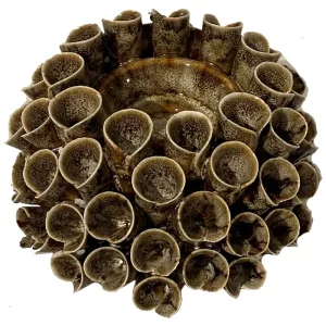 Ljuslykta – Shelly – Brun