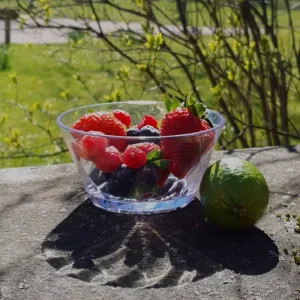 Skål Picknick – plast