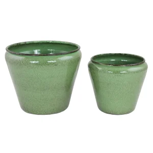 Zinkkruka Eva – Set om 2 – Grön