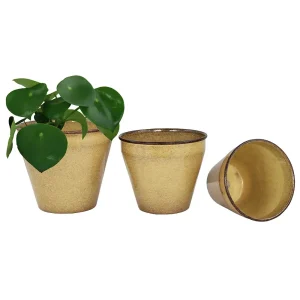 Zinkkruka Barbro – Set om 3 – Gul