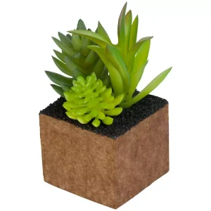 Växt Plantmix – Kub