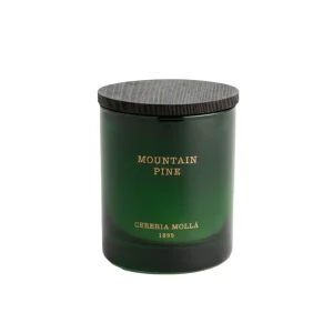 Cerería Mollá – Doftljus Mountain Pine 230g