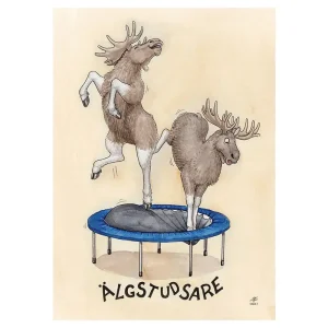 Vykort – Älgstudsare