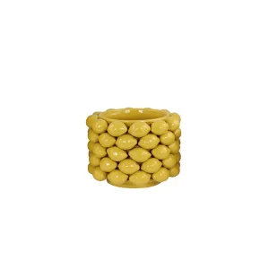 Citronkruka – Stor