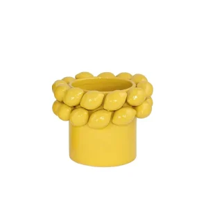 2:handssortering – Citronvas – Liten